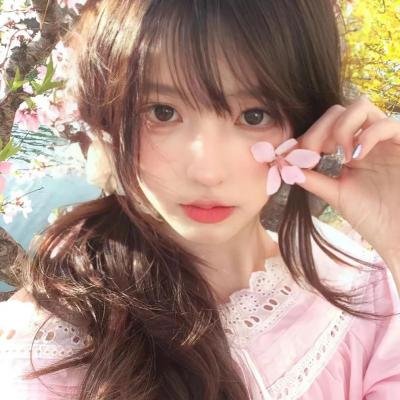 狗狗间谍